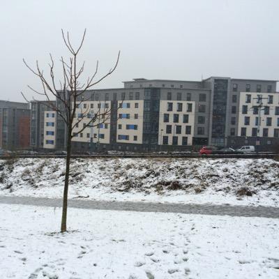 SamiAlruhaily's profile picture. RN, BSN @RCJYYanbumc. MMedsci. Advance Practice @sheffielduni