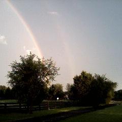 PattieEdmonds's profile picture. 