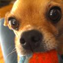 David Shilling - @dashilling1 - Twitter