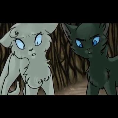 Piper: Bouncy, cute, young, shecat, single. Used to have a master so she calls everyone 'Ma'am' & 'sir' Cynder: mate:@Warriorcats85 #Tom Very silly yet polite.