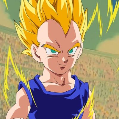 I'm Vegeta Junior. The new generation of the Briefs. What are you wearing, weirdo? Rags?