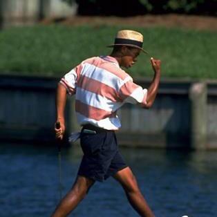 DZorniger's profile picture. 