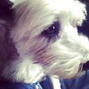 Milly Dixon - @Milly_Dixon - Twitter