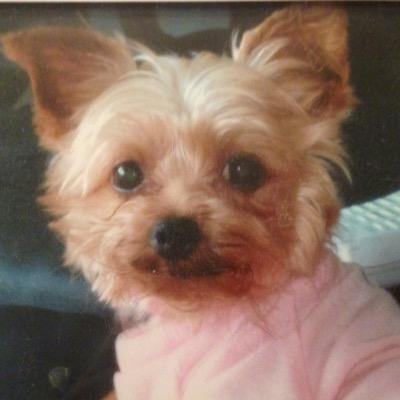 Artist, writer, reader & lover of novels, poetry, movies, and art! Pet enthusiast. Avid learner.