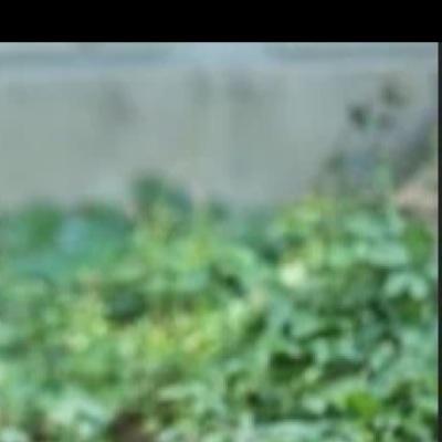 trickshotter and sniper follow me for a follow back
