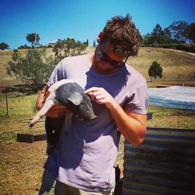 Afletcha1's profile picture. 