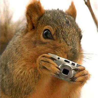 exposing the nuts of Arkansas Tech xoxo gossip squirrel
