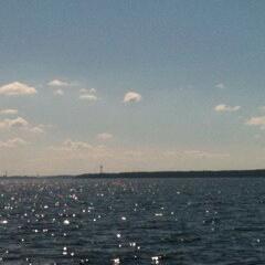 Juliankk's profile picture. 