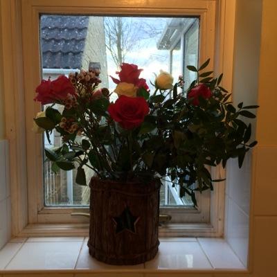 vixr0se's profile picture. 