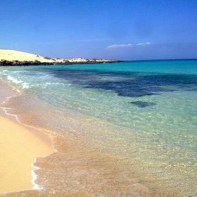 laurapancas's profile picture. 