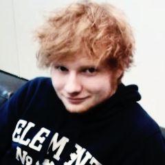 #TeamFollowBack #Directioner