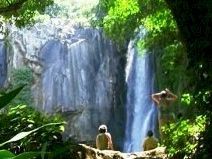 ekolojikgezi's profile picture. 