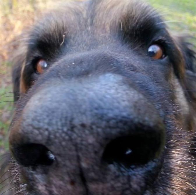 kajwierda's profile picture. 