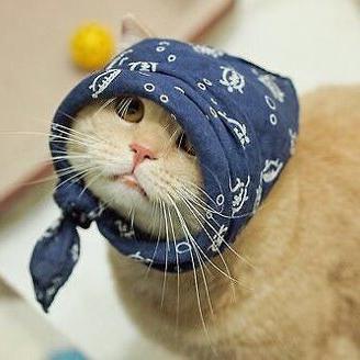 Openminded engineer