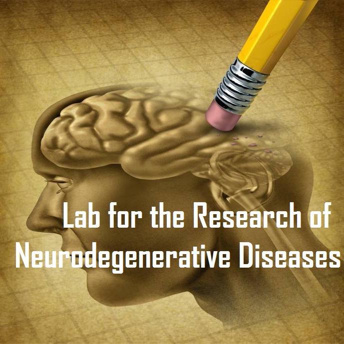 Research on neurodegeneration