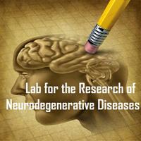 De Strooper Lab (@destrooperlab) 's Twitter Profile