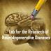 De Strooper Lab (@destrooperlab) Twitter profile photo
