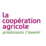 Coopertise Gouvernance & Strategie