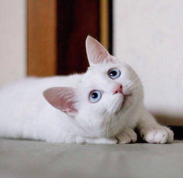 AboyBboy's profile picture. くそ会社人