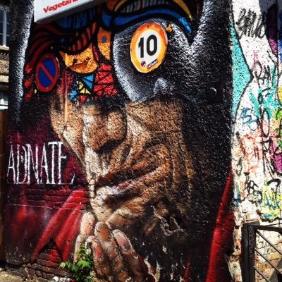 Diego Sedano Profile