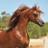 Amoon4231's profile image