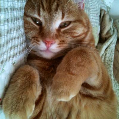 RogerIngemarPal's profile picture. Gillar golf, riktigt blodiga biffar, sprit och all torr och sarkastisk humor