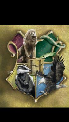#TSF (The Six Founders) brings you updates of Harry Potter characters' birthdays (books and movies) and holds parties for them. And that's not all!