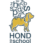 Hond op School I indoor hondenschool in Rotterdam voor alle honden 🐕🐩I kynologisch instructeurs I https://t.co/4tycji32eD