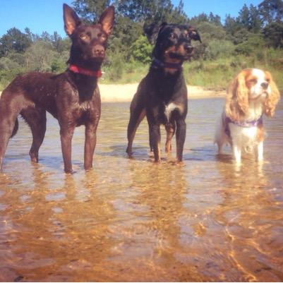 heather_addie's profile picture. 