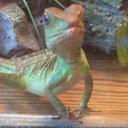 Tre Lawrence - @trelawrence_tre - Twitter