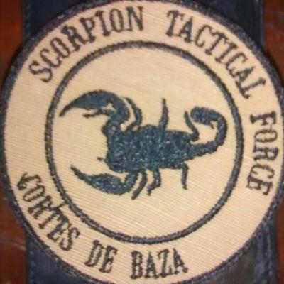 Equipo y asociación lúdico-deportiva SCORPION TACTICAL FORCE. 
Cortes de Baza (Granada) Federados e ilusionados por el airsoft. También en Facebook