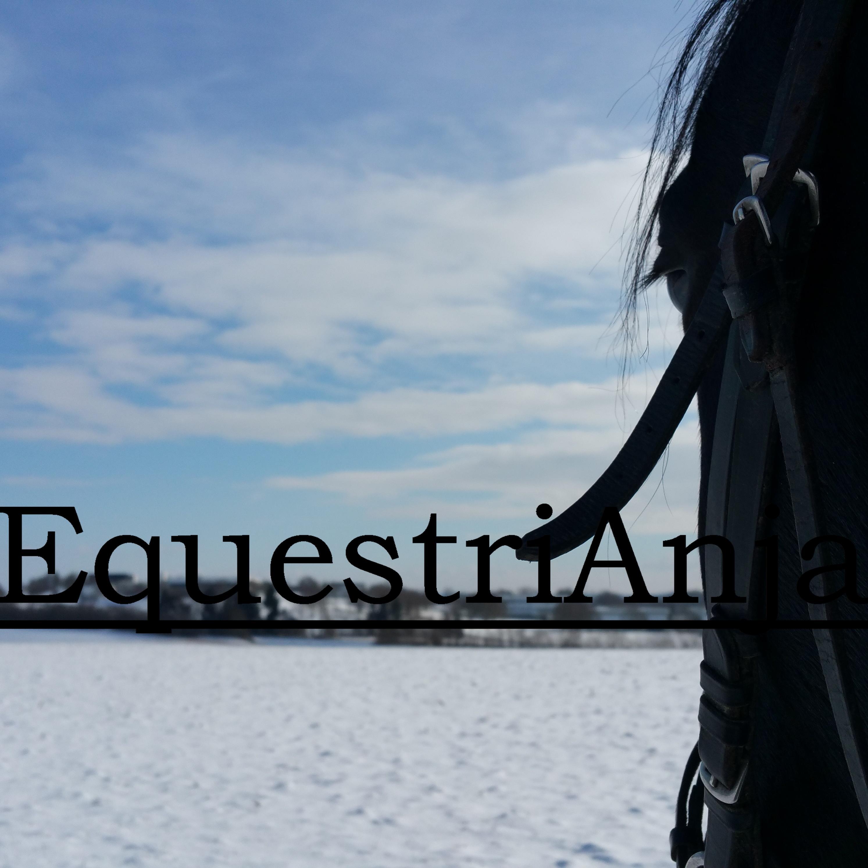 EquestriAnja_'s profile picture. 