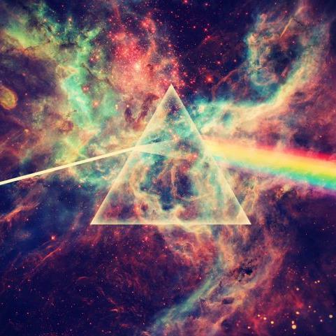 Oh_nigga_bitch's profile picture. 