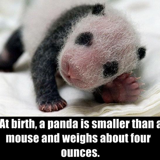 Learn all you wanted to know about animals..
