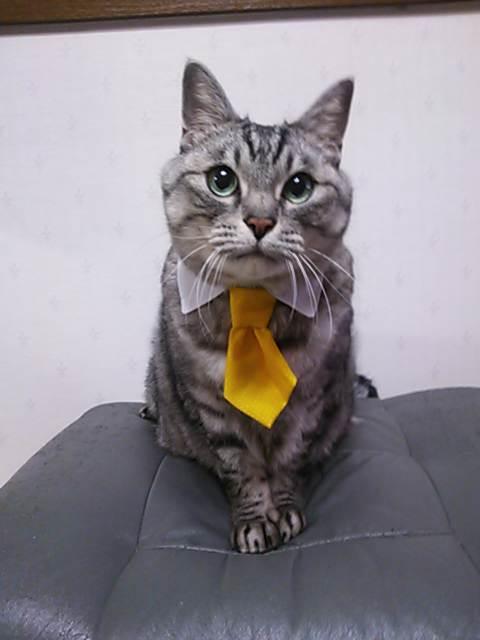 ちはるさんのプロフィール画像