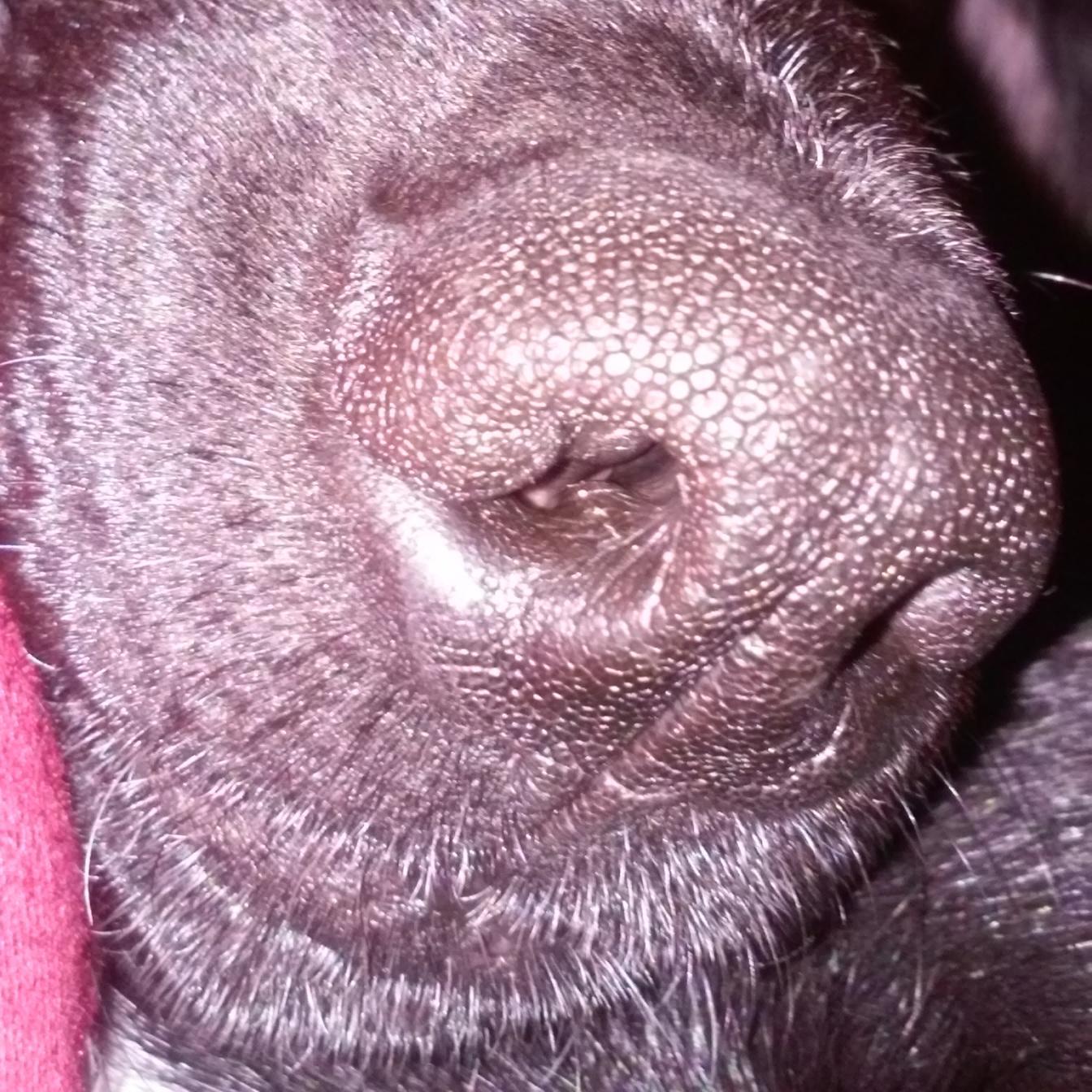 MercheWink's profile picture. 