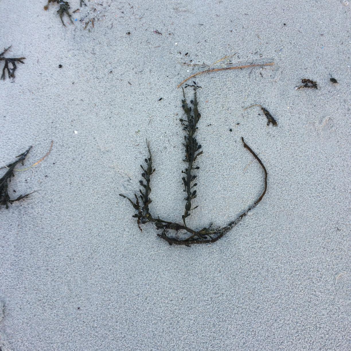 LisaEHawley's profile picture. 