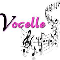 Lively group of ladies based in South Wales who enjoy music of all types, specialising in close harmony.  Come and say hello! Tweets by @lizzieparkes