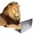 simbafanueli's profile image