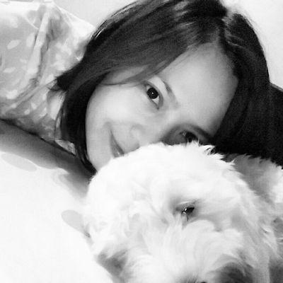 JavaJavajive612's profile picture. i just follow people who loves only leeseunggi. i tweet 100% seunggi news only.