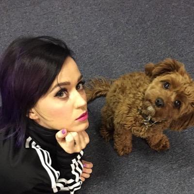 Katy Perry just part of my life, she IS my life❤️