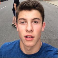 Shawn mendes is all that matters to me♡ Brazil•0/12•