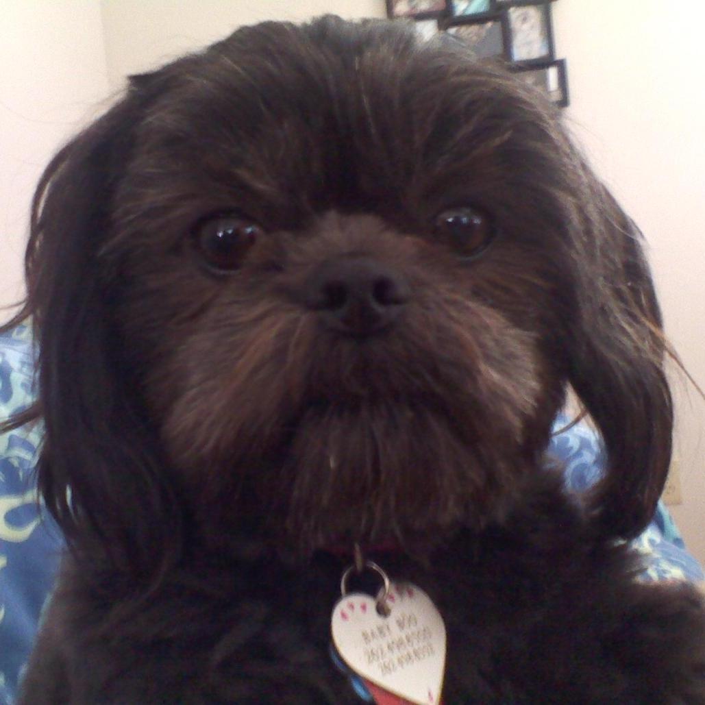 Suzy2762's profile picture. 