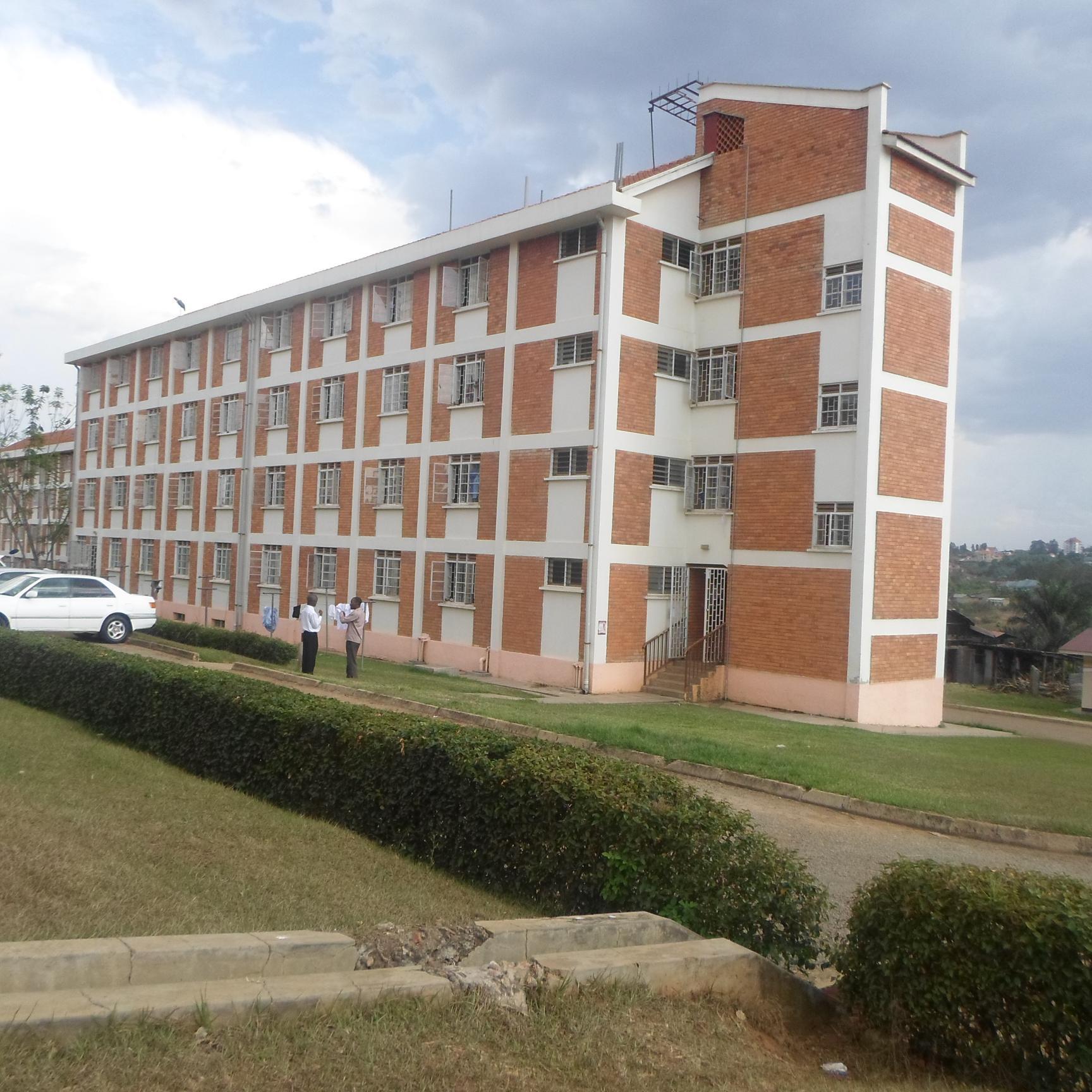 fredkiibi's profile picture. 