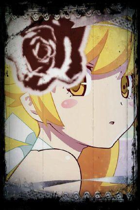 956b26ef8e6e479's profile picture. 大中2/音楽部/アニメ大好きで忍ちゃん、好きです！