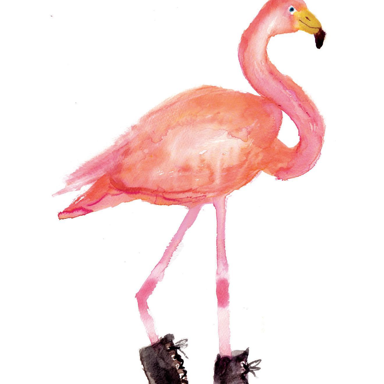 Artist Illustrator