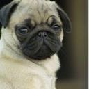 Caroline McManus - @cmmhsmicrosoft - Twitter