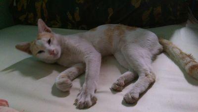 zacquedd25's profile picture. 