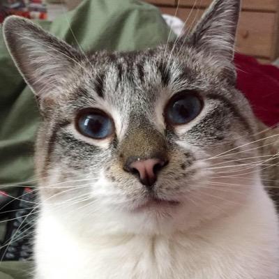 Radio co-host,loves yoga,cats,Minnesota,hate bitches,could eat chinese food daily,prefer Heinz Ketchup, writes w/Sharpie pens.