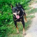 bruno venturelli - @VenturelliBruno - Twitter